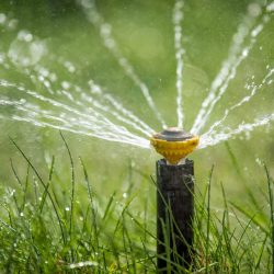 sprinkler-in-action-watering-grass-2021-08-26-15-55-57-utc-1-scaled.jpg